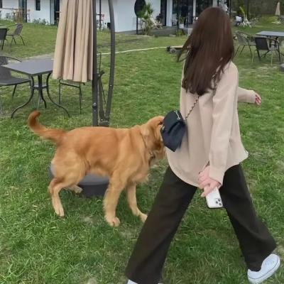 出发吧!短剧内蒙古篇