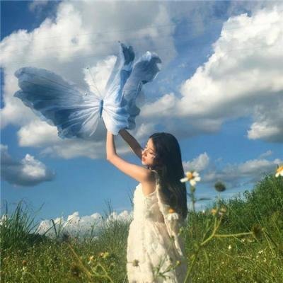 檀岛玉女