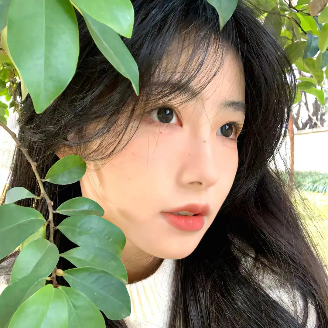 天天有喜